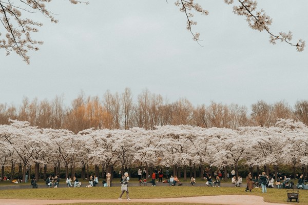 Medium property photo - Rozemarijnlaan 3, 1187 EK Amstelveen